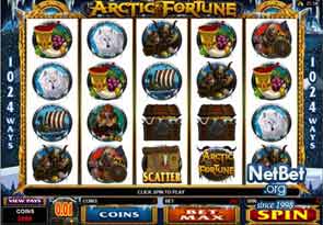 Arctic Fortune Video Slot 