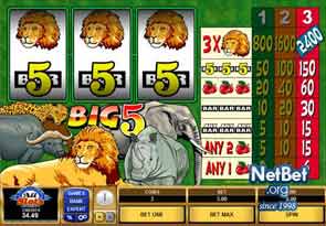 Big Five Slot
