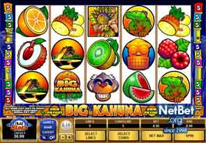 Big Kahuna slot