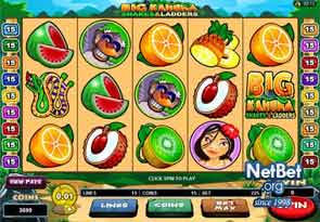 Big Kahuna Snakes and Ladders Slot
