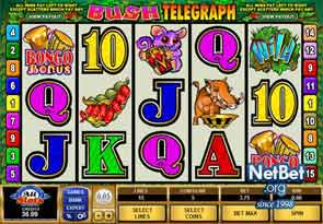 Bush Telegraph Slot