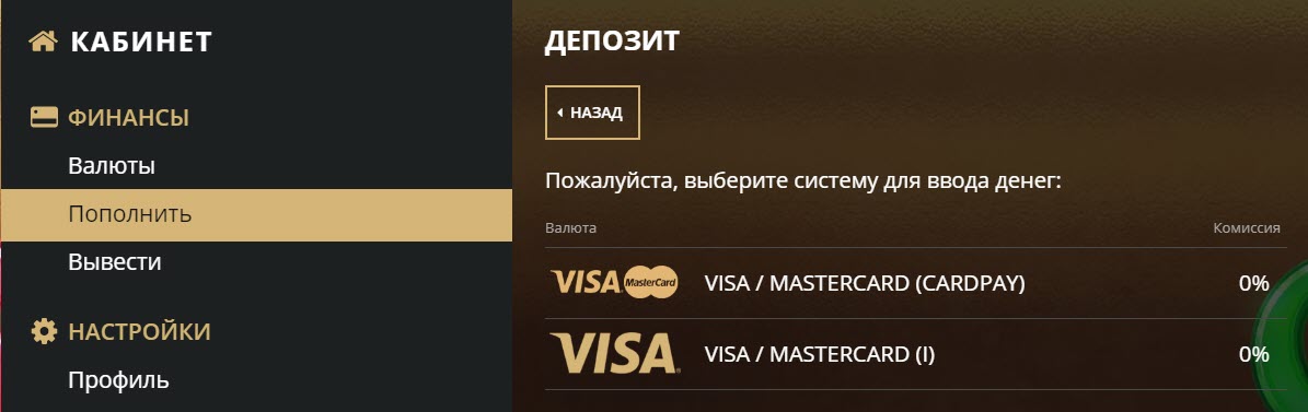 варианты депозита в riobet