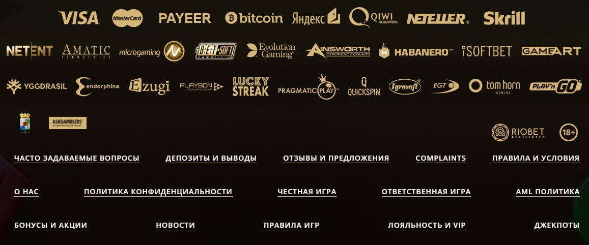 производители софта и платёжные системы на riobet