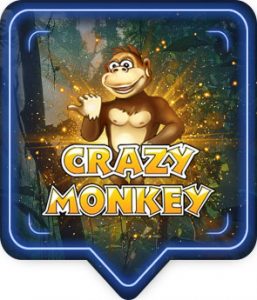 Crazy Monkey slot